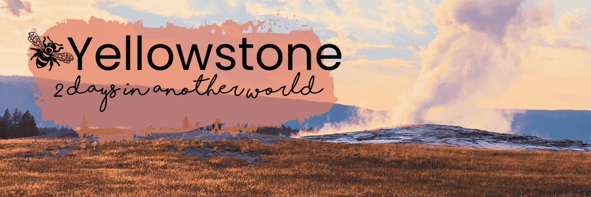 YELLOWSTONE